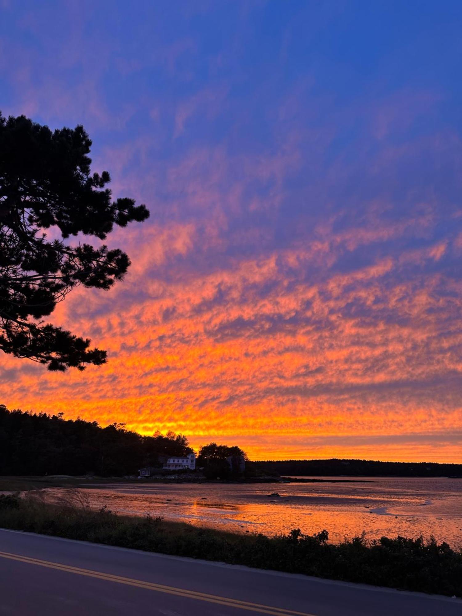 Spinneys Guesthouse & Beach Cottages Phippsburg Eksteriør bilde